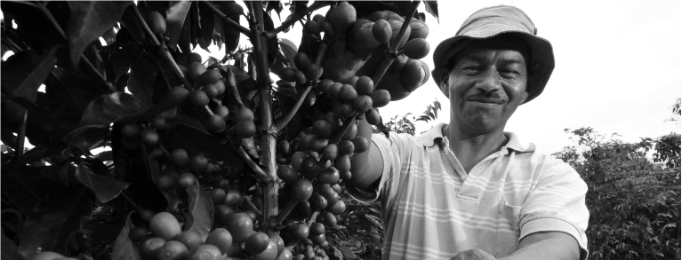 10 Questions for the Son of a Coffee Producer